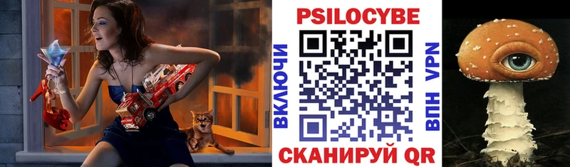 как найти   Хасавюрт  hydra ТОР  Галлюциногенные грибы мицелий 